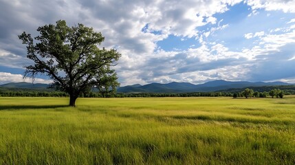 Solitary tree stands in a vast, green field under a partly cloudy sky, with distant mountains providing a scenic backdrop. : Generative AI