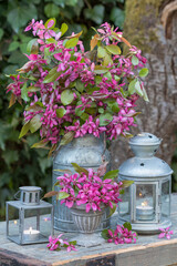 Garten-Arrangement mit Zierapfel-Strauß (Malus) und vintage Laternen