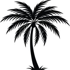 Obraz premium palm tree silhouette 