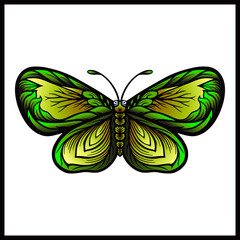 illustration of Beautiful Butterfly abstract