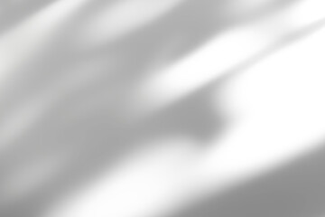 shadow overlay effects of realistic window and tree branch shadow with light blur on transparent background,Summer sunlight and shadow overlay effect,shadow for photo interior backdrop studio wall