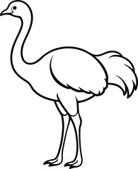 minimal ostrich bird vector silhouette