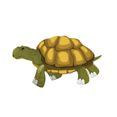 walking turtle with a shell, Sea dwelling Species Vector illustrations.