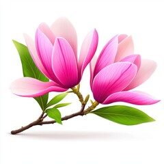 Pink Magnolia Blossoms on Branch Closeup of Delicate Flowers