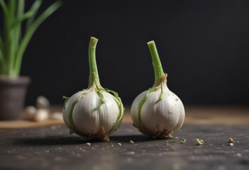 Tiny garlic sprout pushes through bulb skin, vibrant green , vegetable, macro, detail