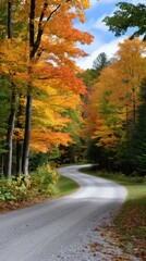 Obraz premium Serpentine gravel road cutting through an autumn forest of vibrant colorful foliage in shades of orange, yellow and green.