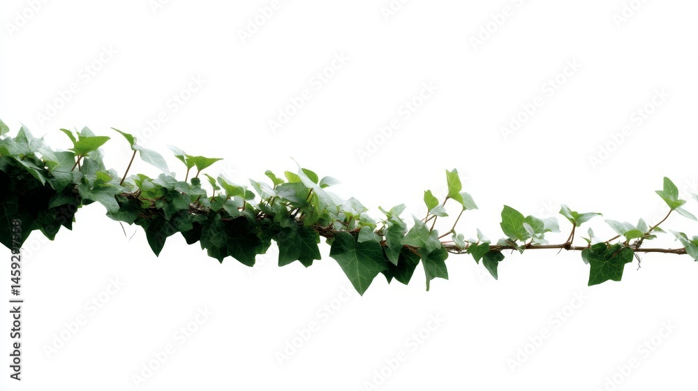 Fototapete ivy leaves create a retro-inspired pattern featuring soft green tones on a clean white background, i