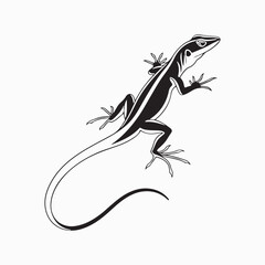 Fototapeta premium green anole lizard vector