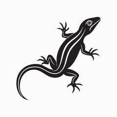 green anole lizard vector