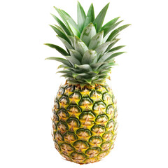 Fototapeta premium Fresh Pineapple