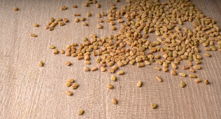 Methi or fenugreek seeds with methi leaves.Methi seeds is good for health.
