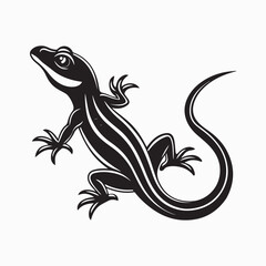 green anole lizard vector