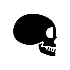 Osteology icon