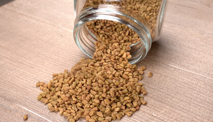 Methi or fenugreek seeds with methi leaves.Methi seeds is good for health.
