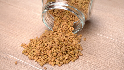 Methi or fenugreek seeds with methi leaves.Methi seeds is good for health.
