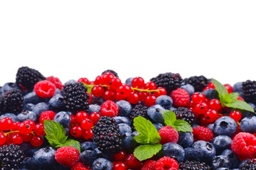 Blackberry, raspberry, blueberry,  red currant and mint background.
