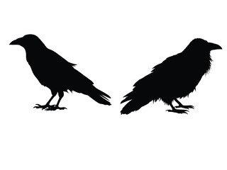 Silhouette of Raven and Crow Birds