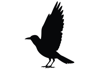 Silhouette of bird with raised wings, vector