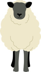 faceless sheep animal cartoon