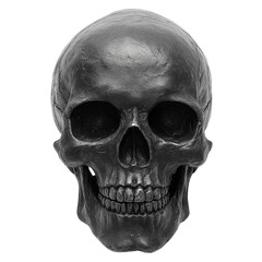 Fototapeta premium Realistic black skull model, showcasing intricate details and smooth surface, perfect for educational purposes or Halloween decorations. Its striking appearance evokes curiosity and intrigue