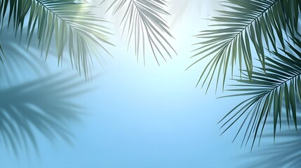 Light and shadow patterns created by tropical leaves against a light blue sky.