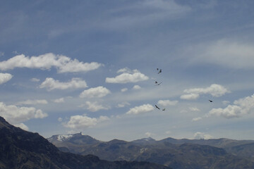 View of the deep Colca Canyon, one of the most beautiful in the world, located in the city of Arequipa in Peru