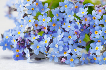 Bouquet of forget me not flowers on the table closeup on a white wooden background. Beautiful card