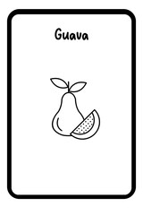 Coloring Fruit Flashcards 1 - Guava (4)