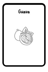 Coloring Fruit Flashcards 1 - Guava
