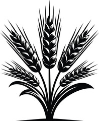 Fototapeta premium Barley Silhouette Vector Illustration with Realistic Detail