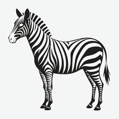 Zebra line art.