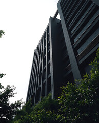 Obraz premium modern brutalism building with lush greenery, created by generative ai