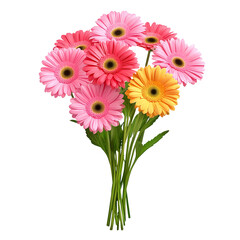 Beautiful bouquet of gerbera flowers isolated on transparent background.