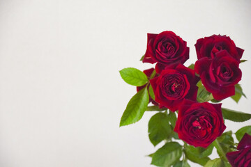 赤い薔薇