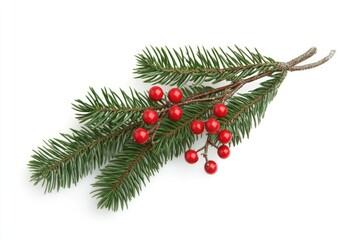 Christmas sprig with red berries.  Green pine needles and small, bright red berries arranged on a branch