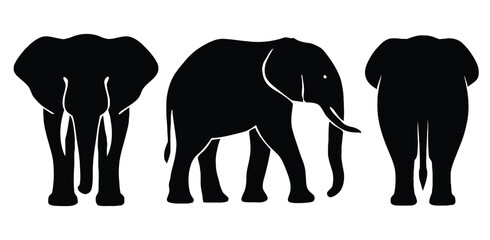 Elephant Silhouettes front, side, back views. vector illustration 
