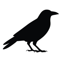 Black Crow Silhouette. vector illustration 