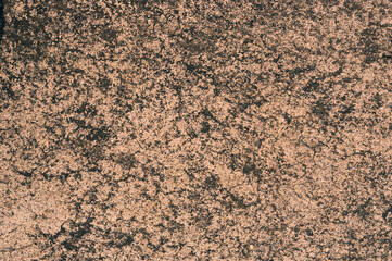 Small pebbles embedded in cement pavement.