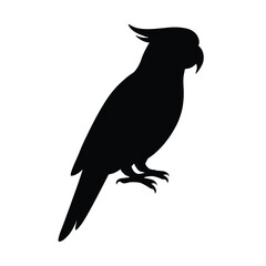 Silhouette of a Parrot. bird