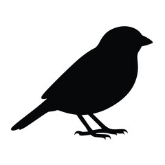 Sparrow Silhouette of bird. vector illustration 