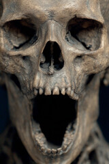 skull on black background