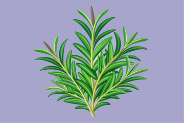 vector illustration of a plant