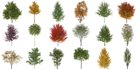 Set of different shaped trees  transparent background 3d