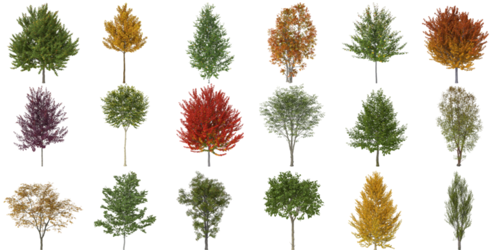 Set of different shaped trees  transparent background 3d