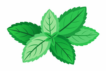 Minimalistic plant silhouette vector illustration featuring a leafy stem with natural curves and botanical elegance. Ideal for eco-friendly designs, nature themes, home decor, gardening graphics, tatt