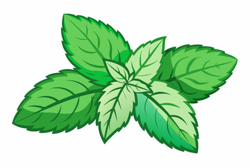 Minimalistic plant silhouette vector illustration featuring a leafy stem with natural curves and botanical elegance. Ideal for eco-friendly designs, nature themes, home decor, gardening graphics, tatt