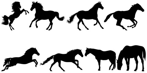 set of horses silhouettes in vector's