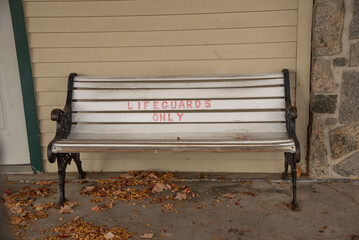 Wood Bench   
