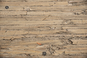 Raw wood board texture