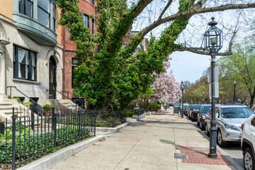 Historic Commonwealth Avenue with spring trees in Boston, Massachusetts, USA
